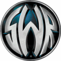 SWR Amplifiers For Sale
